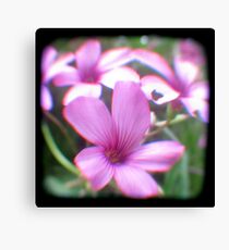 Garden of Weeds Canvas Print