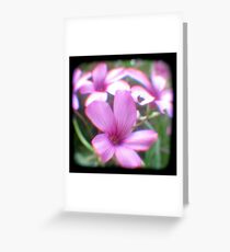 Garden of Weeds Greeting Card