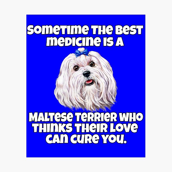 Item preview, Maltese Dog Owner Sometime The Best Medicine Is A Maltese Terrier  designed and sold by fantasticdesign.