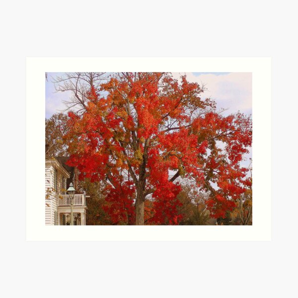 Firey Tree Art Print