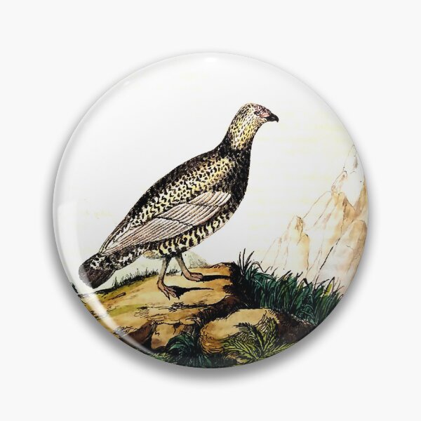Item preview, Vintage Bird Engraving designed and sold by louisxvpod.