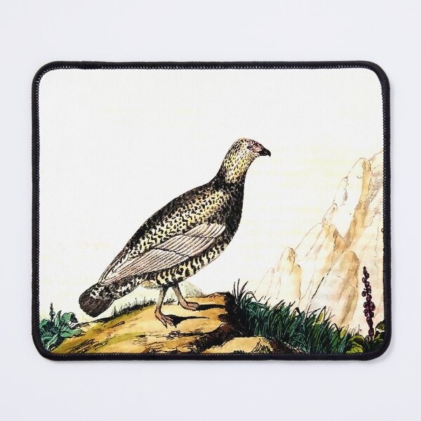 Item preview, Vintage Bird Engraving designed and sold by louisxvpod.