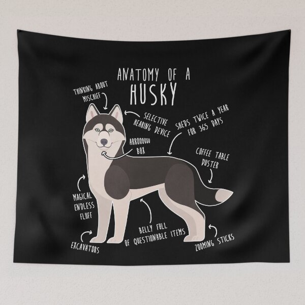 Item preview, Black and White Siberian Husky Dog Anatomy designed and sold by Clara Hollins.