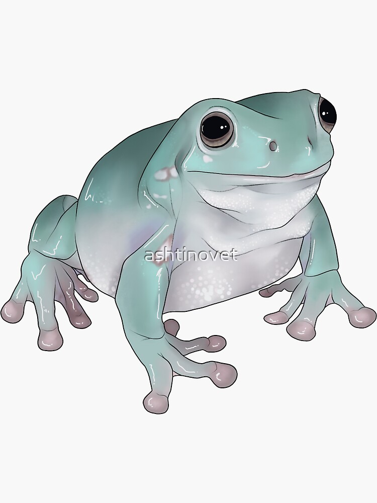 Whit's Frog