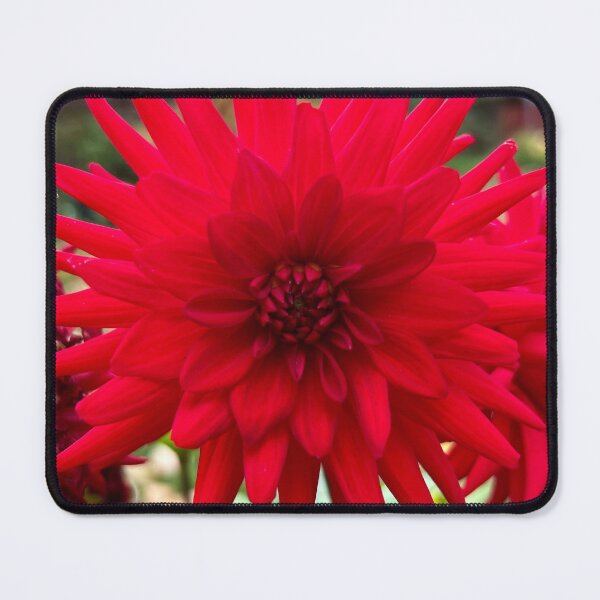 Item preview, Vibrant red flower designed and sold by SunnyDesignsCo.