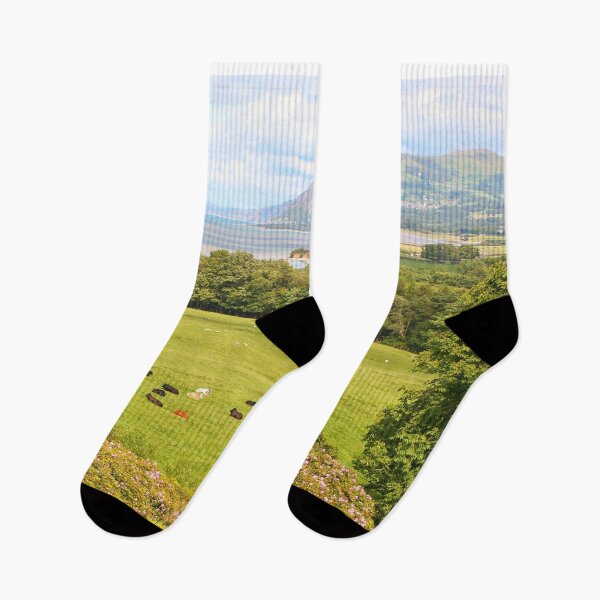 Item preview, Welsh countryside, coast and cows designed and sold by FranWest.