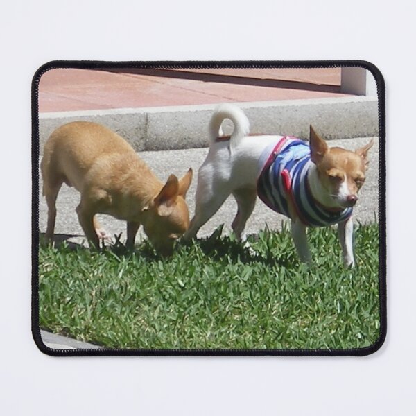 Item preview, Chihuahua x2 designed and sold by Rebekah  McLeod.