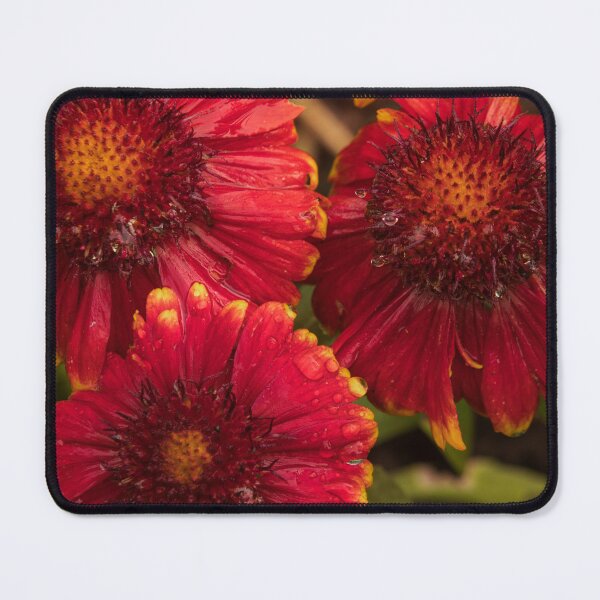 Item preview, Big Reds designed and sold by Marylou Badeaux.
