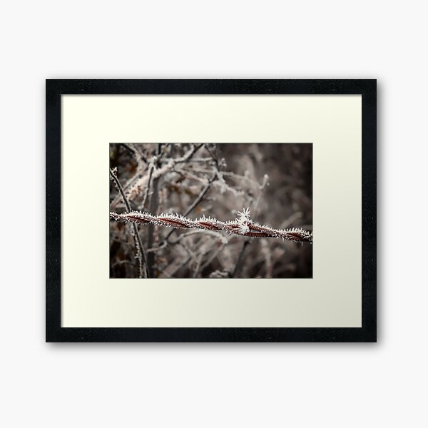 Item preview, Frosty Barbed Wire designed and sold by MarniePatchett.