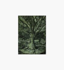 Live Oak Tree Art Board