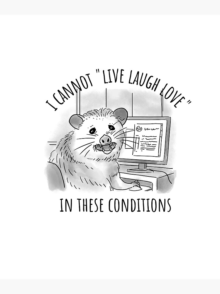  opossum live laugh love i cannot live laugh love in these conditions