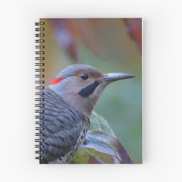 Item preview, Northern Flicker designed and sold by Enola Gay Wagner.