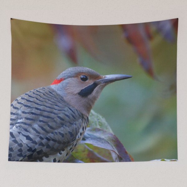 Item preview, Northern Flicker designed and sold by Enola Gay Wagner.
