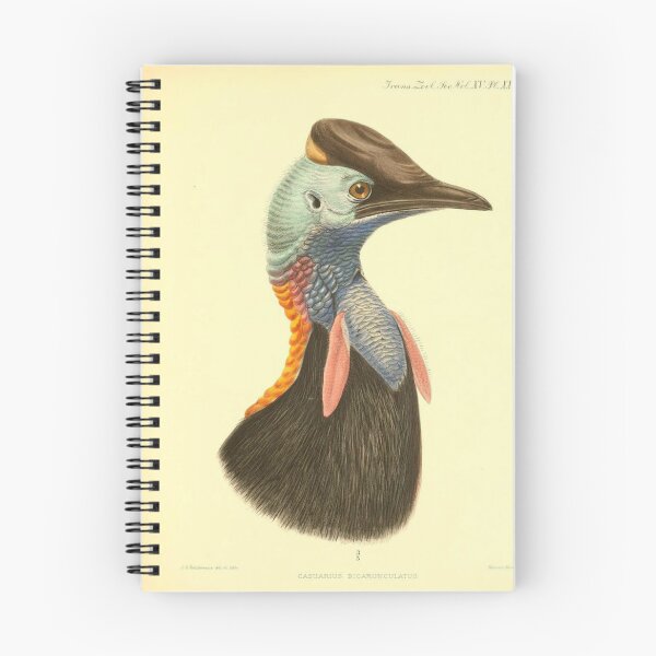 Item preview, Casuarius Bicarunculatus, Common: Double-wattled Cassowary designed and sold by Donkey's Salad.