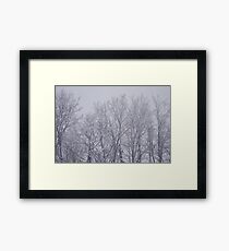 Trees Framed Print