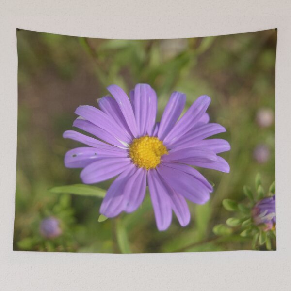 Item preview, pretty purple  aster daisy flowers in a garden designed and sold by naturematters.