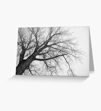 Winter Tree Greeting Card