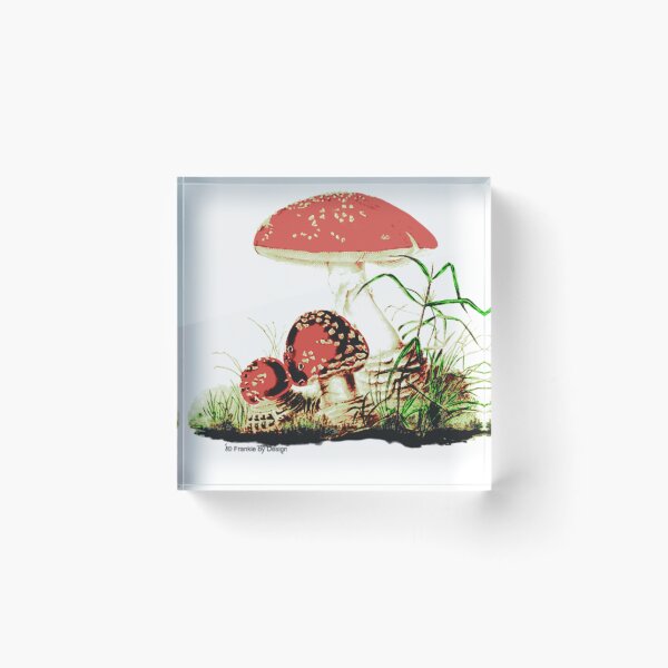 Item preview, Fly Agaric  designed and sold by BarrelCoops.