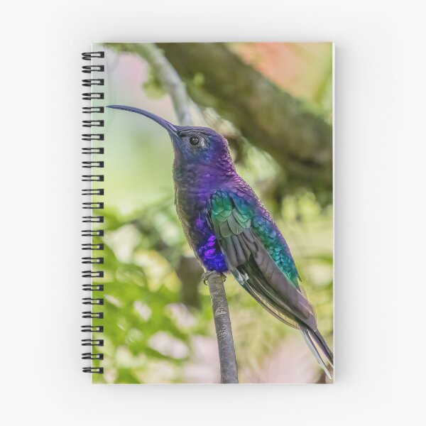 Item preview, Purple and Green Shimmering Iridescent Hummingbird in Tree designed and sold by SafariByMarisa.