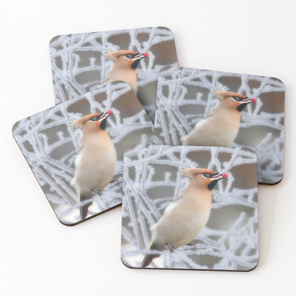 Item preview, Waxwing and a hoar frost designed and sold by missmoneypenny.