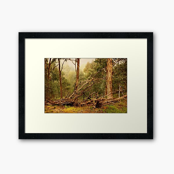 Item preview, Darebin Parklands designed and sold by Angie Muccillo.