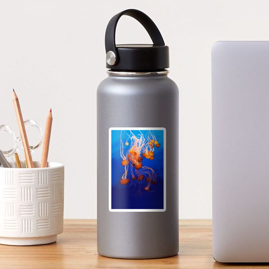 Artikel-Vorschau von Sticker, designt und verkauft von spiderwebart.