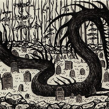 Shadow  by novelteeth