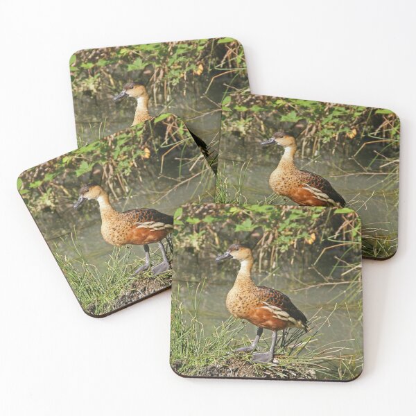 Item preview, wandering whistling duck designed and sold by rogersmith.