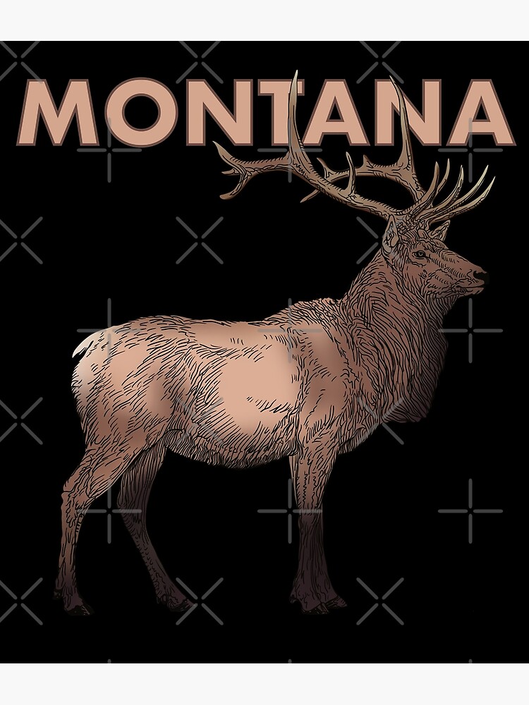 "Montana Elk drawing, colored version" Poster for Sale by DaveDanchuk