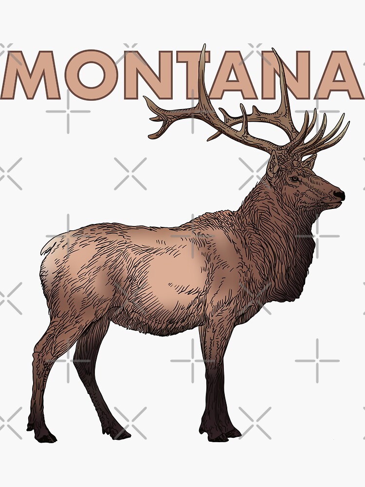 "Montana Elk drawing, colored version" Sticker for Sale by