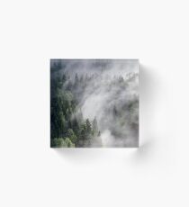 Immersion Acrylic Block