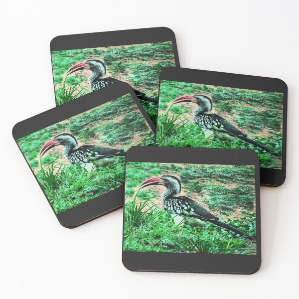 Item preview, Hornbill | African Birds designed and sold by Artisnaps.
