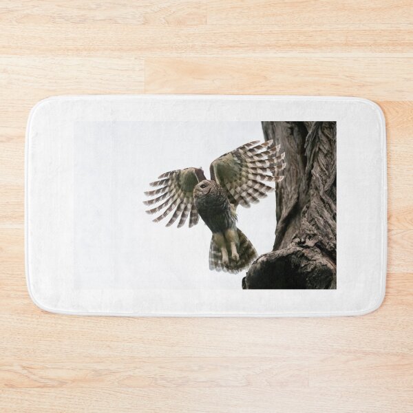 Item preview, Mama Barred Owl Taking Off designed and sold by Puttaswamy Ravishankar.