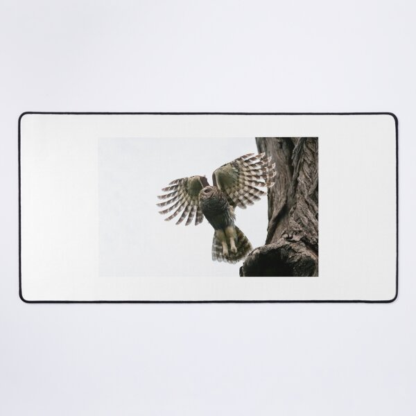 Item preview, Mama Barred Owl Taking Off designed and sold by Puttaswamy Ravishankar.