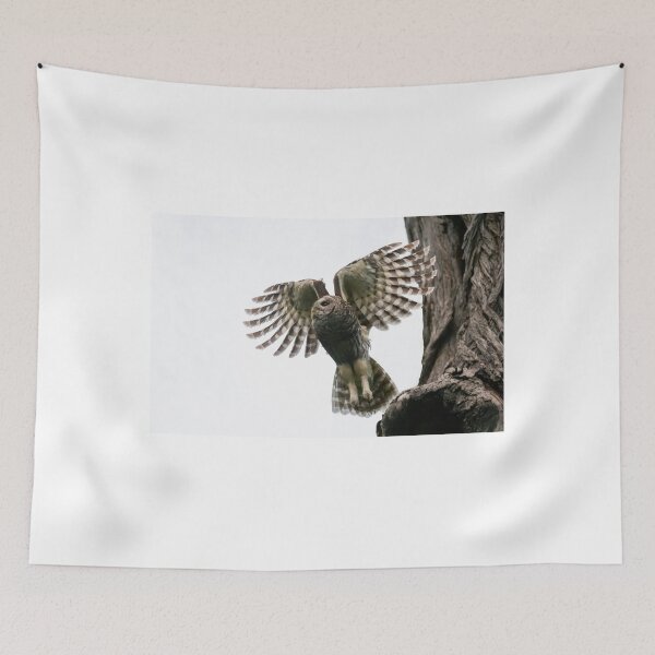 Item preview, Mama Barred Owl Taking Off designed and sold by Puttaswamy Ravishankar.