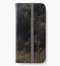 Silvery Falls iPhone Wallet/Case/Skin