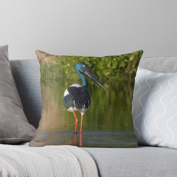 Aperçu de l'œuvre Female Jabiru créée et vendue par byronbackyard.
