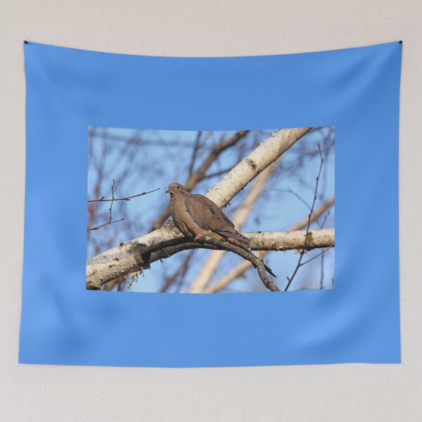 Item preview, Mourning Dove In Birch Tree designed and sold by Debbie Oppermann.