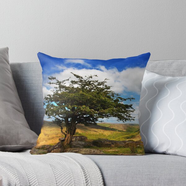 Item preview, Dartmoor designed and sold by Dave Hare Photography.