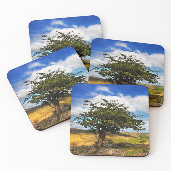 Item preview, Dartmoor designed and sold by Dave Hare Photography.