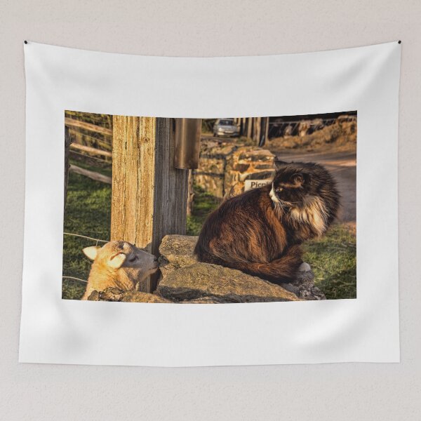 Item preview, #56 Pet Cat Nudged on the Bum By A Sheep designed and sold by phutball.