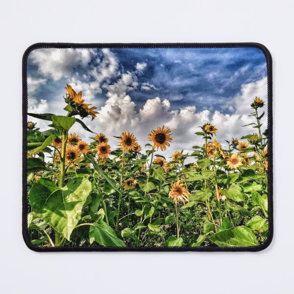 Item preview, Sunflowers designed and sold by wumplekin.
