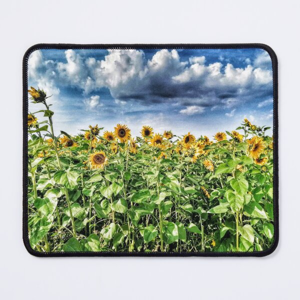 Item preview, Sunflowers designed and sold by wumplekin.
