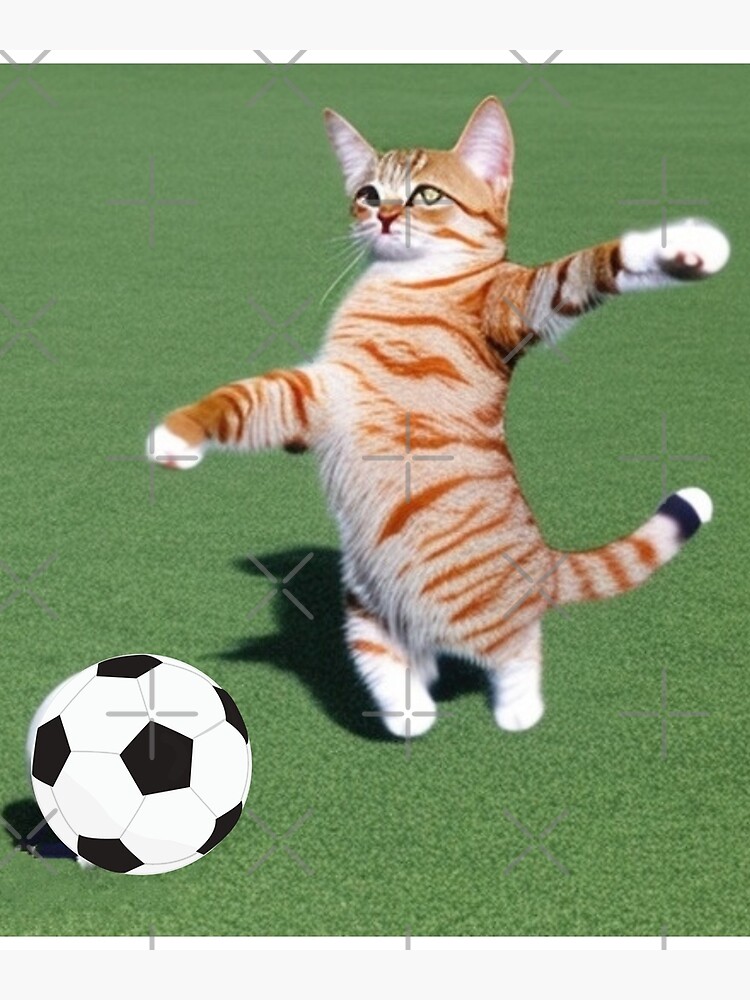 Cat soccer ball fashion