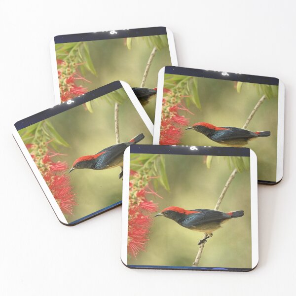 Item preview, Bird,Suvash barman, t-shirts, gifts  designed and sold by suvashbarman.