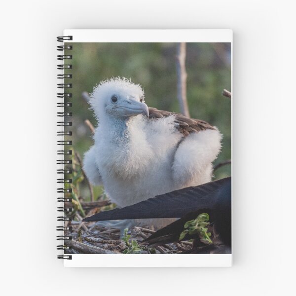 Item preview, Frigate Chick designed and sold by Withns.
