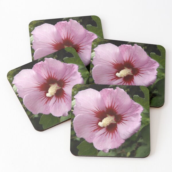 Item preview, Rose of Sharon Pink with Red Center designed and sold by McFleur's Lens.