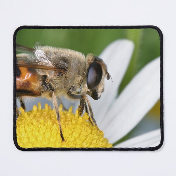 Item preview, Daisy with a visit designed and sold by Kankobasu.