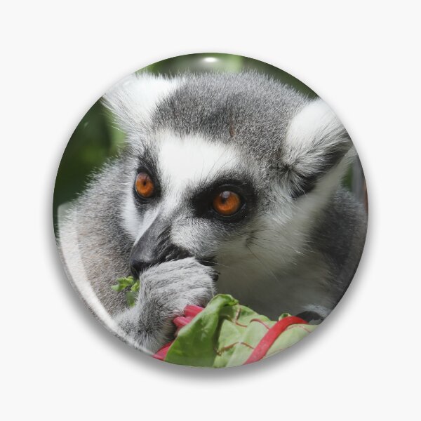 Item preview, Ring Tailed Lemur  designed and sold by aquabella.