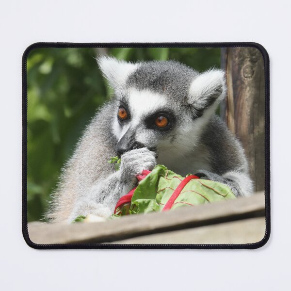 Item preview, Ring Tailed Lemur  designed and sold by aquabella.
